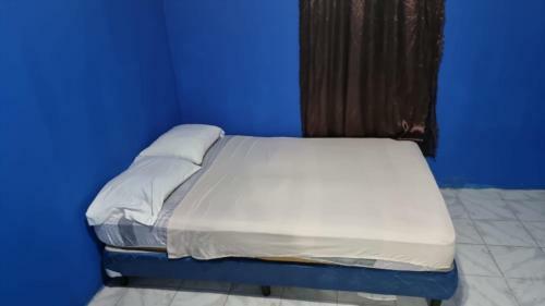 Albergue Twin Fin Plaza