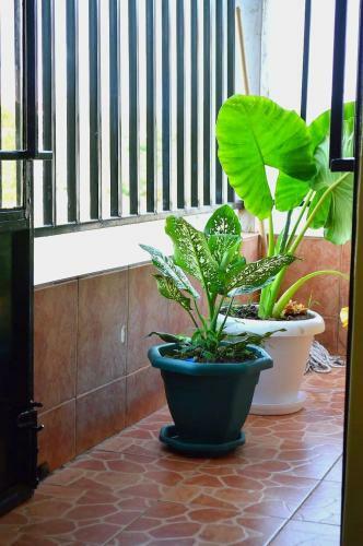 Apartamento Comfort 1br Milimani