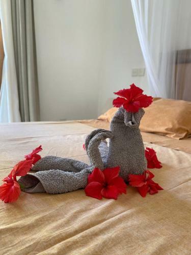 Apartamento Skint Travels