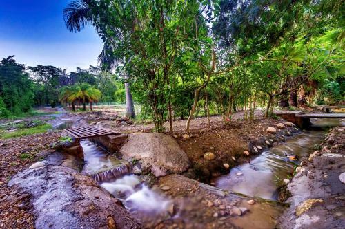 Hotel Lohagarh Corbett Resort