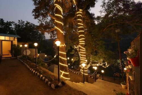 Hotel Lake & Woods Resort