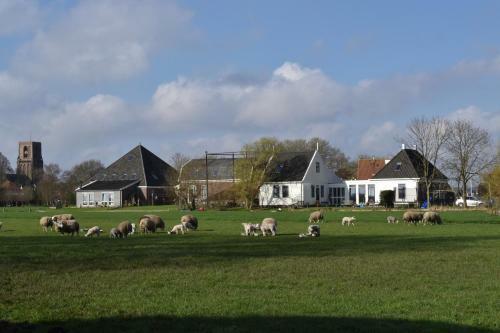 Bed & Breakfast Amsterdam Farmland