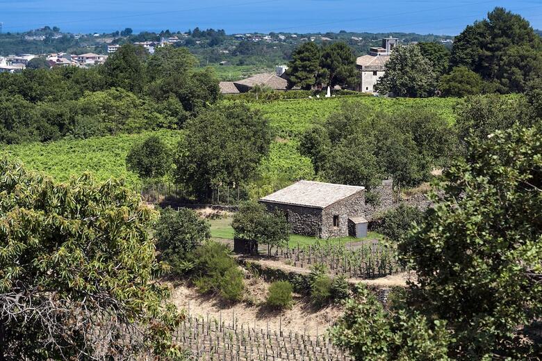 Agroturismo Monaci Delle Terre Nere
