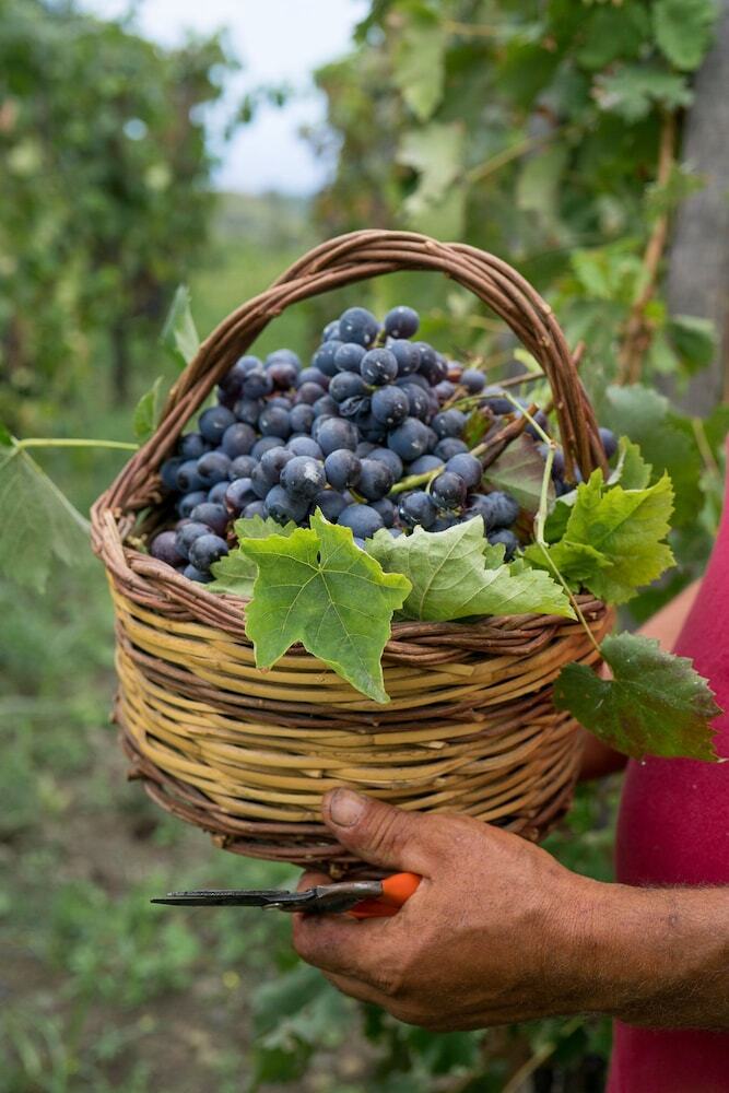 Agroturismo Monaci Delle Terre Nere