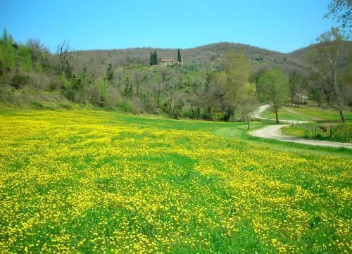 Agroturismo Allegro Agriturismo Argiano