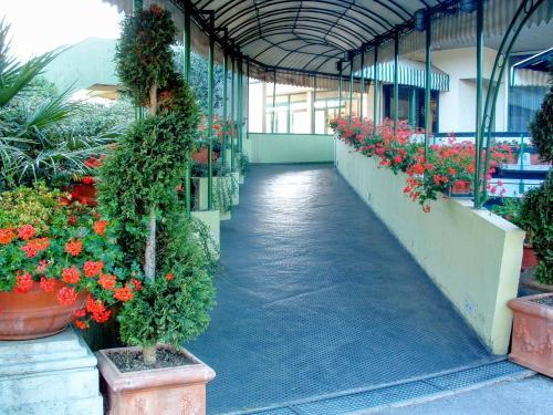 Hotel Country Club
