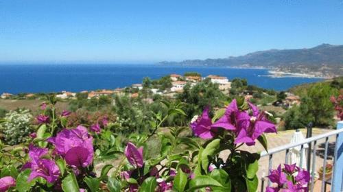 Bed & Breakfast Villa Pischinas