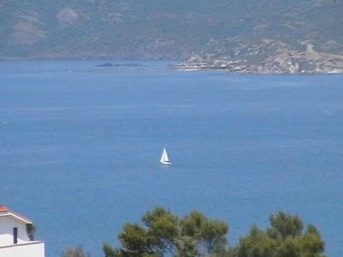 Bed & Breakfast Villa Pischinas