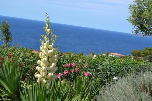 Bed & Breakfast Villa Pischinas