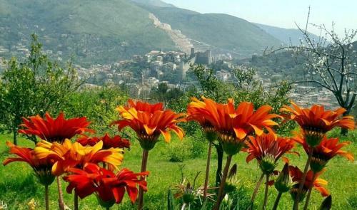 Bed & Breakfast Mezzabrino Vista Castello