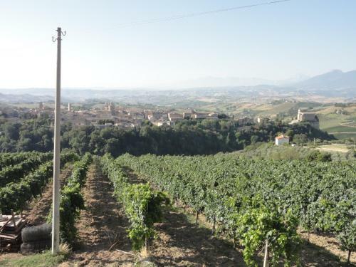Agroturismo Agriturismo Casa Rosa