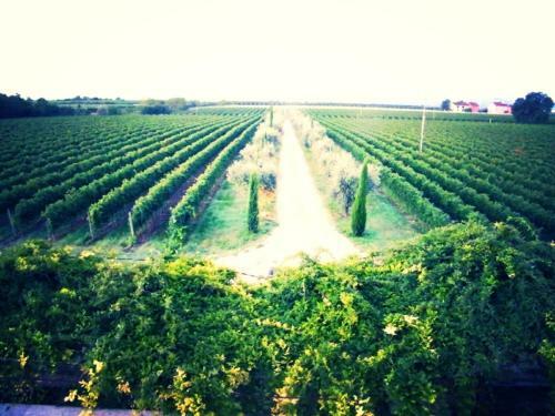 Agroturismo Dimora Del Bugiardo