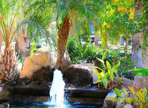 Hotel Emerald Desert Rv Resort
