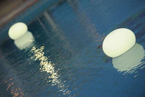 Agroturismo Tenuta Marchesi Fezia