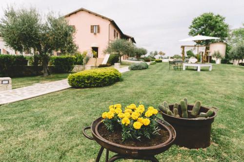 Agroturismo Tenuta Marchesi Fezia