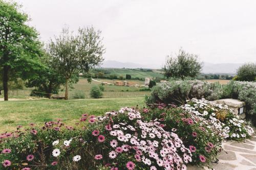 Agroturismo Tenuta Marchesi Fezia