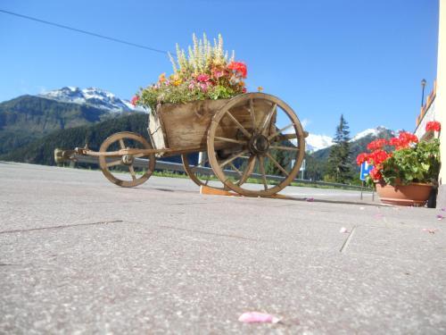 Hotel Albergo Alpino
