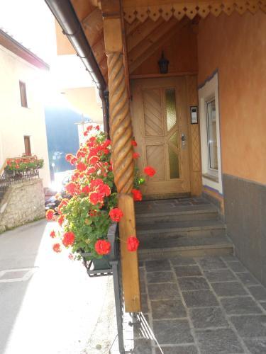Hotel Albergo Alpino