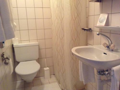 Hotel H�tel Restaurant Le Gruy�rien