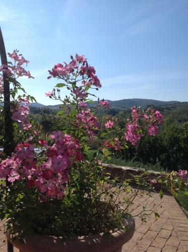 Apartamento Agriturismo Piettorri
