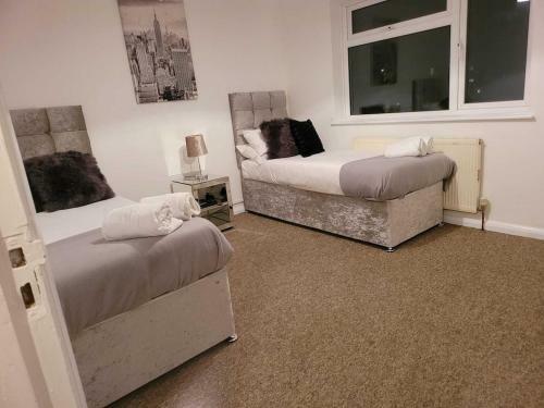 Vetrelax Chelmsford Canberra Apartment
