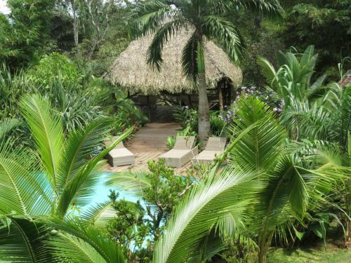 Bed & Breakfast Monkey Lodge Panama