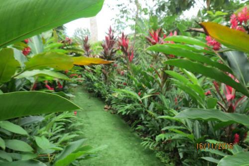 Bed & Breakfast Monkey Lodge Panama