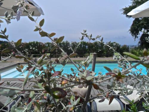 Agroturismo Casale Il Poggetto