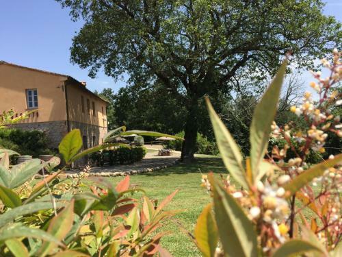 Agroturismo Casale Il Poggetto