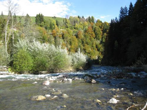 Hostal Alpenhof Strenge