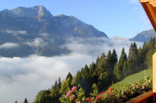 Hostal Alpenhof Strenge