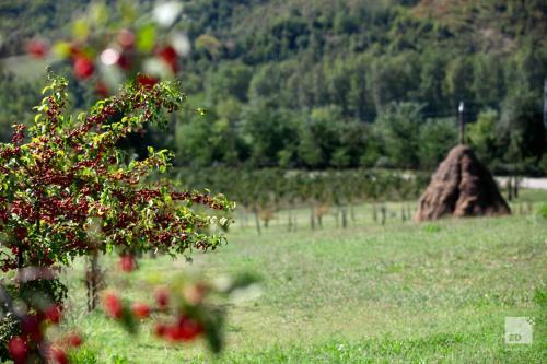 Agroturismo Locanda Dei Cinque Cerri