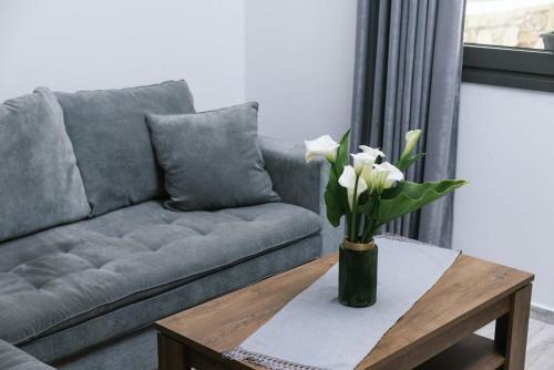 Apartamento Kambos Nature View Appartment