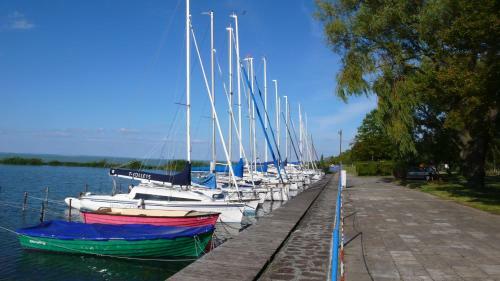 Reflex Apartman Zam�rdi