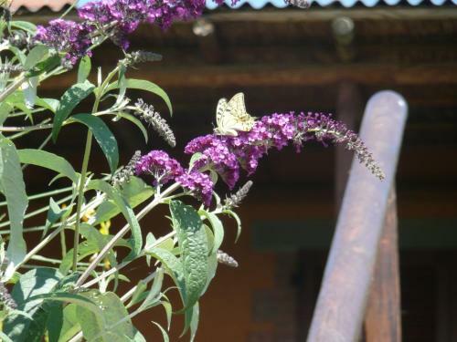 Agroturismo Agriturismo Annibale