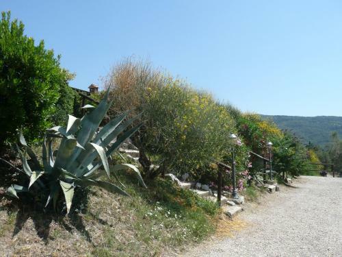 Agroturismo Agriturismo Annibale