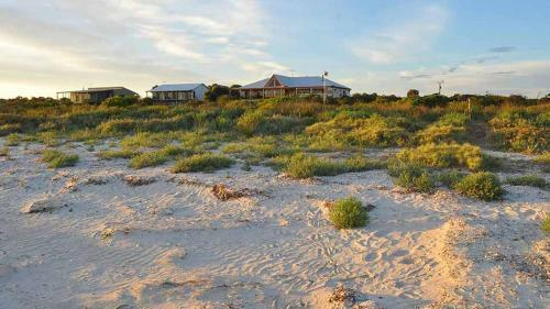 The Adagio Retreat