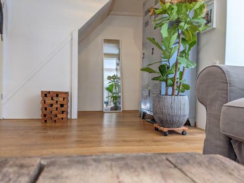 Apartamento Lanestay Damsquare