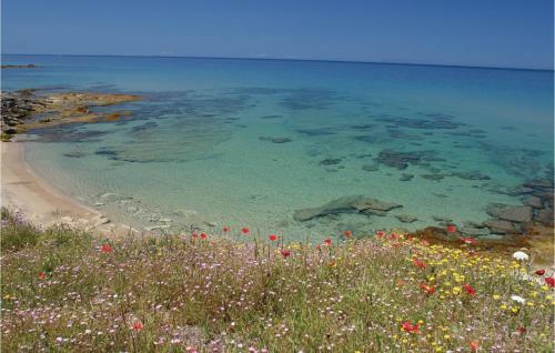 Apartamento 1 Via Lazio