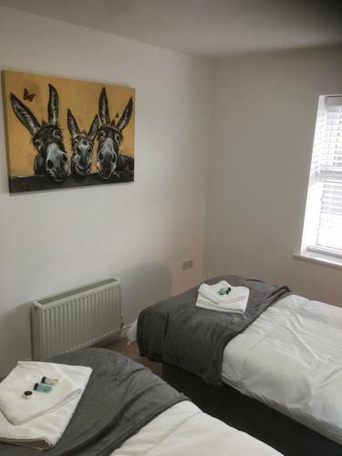 Beautiful 2 Bed Apartment