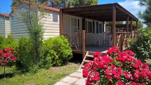 New Camping Le Tamerici