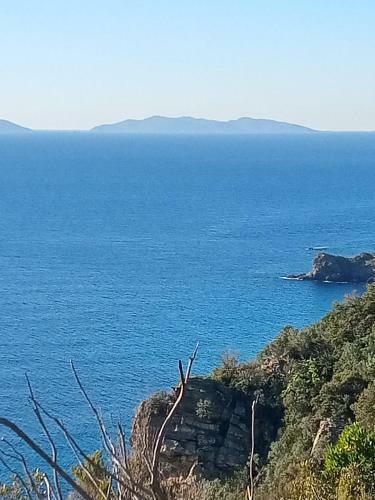 Apartamento Domania
