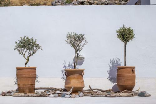 Apartamento Heritage Luxury Suites