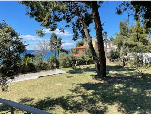 Angie's Seafront House In Akti Elia