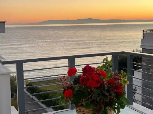 Halkidiki Dioni Villas Seaside