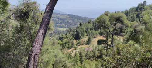 Groundfloor Apartment In Mola