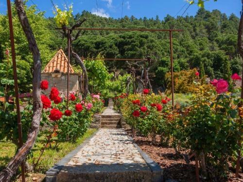 Holiday Home In Carrazeda De Ansi�es With Private Terrace