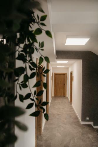 Apartamento Rajskie Uroczysko