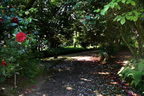 Bucolic And Elegant Townhouse Near Oporto