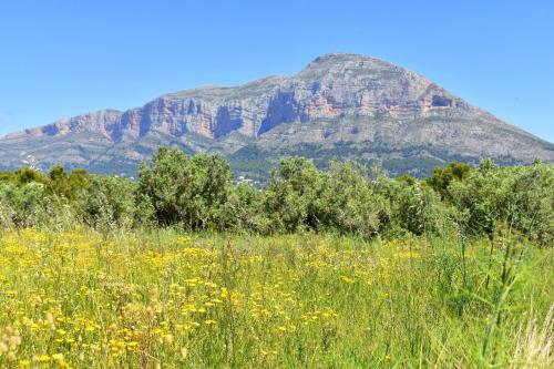 Apartamento Jardines Del Saladar Javea - 5038